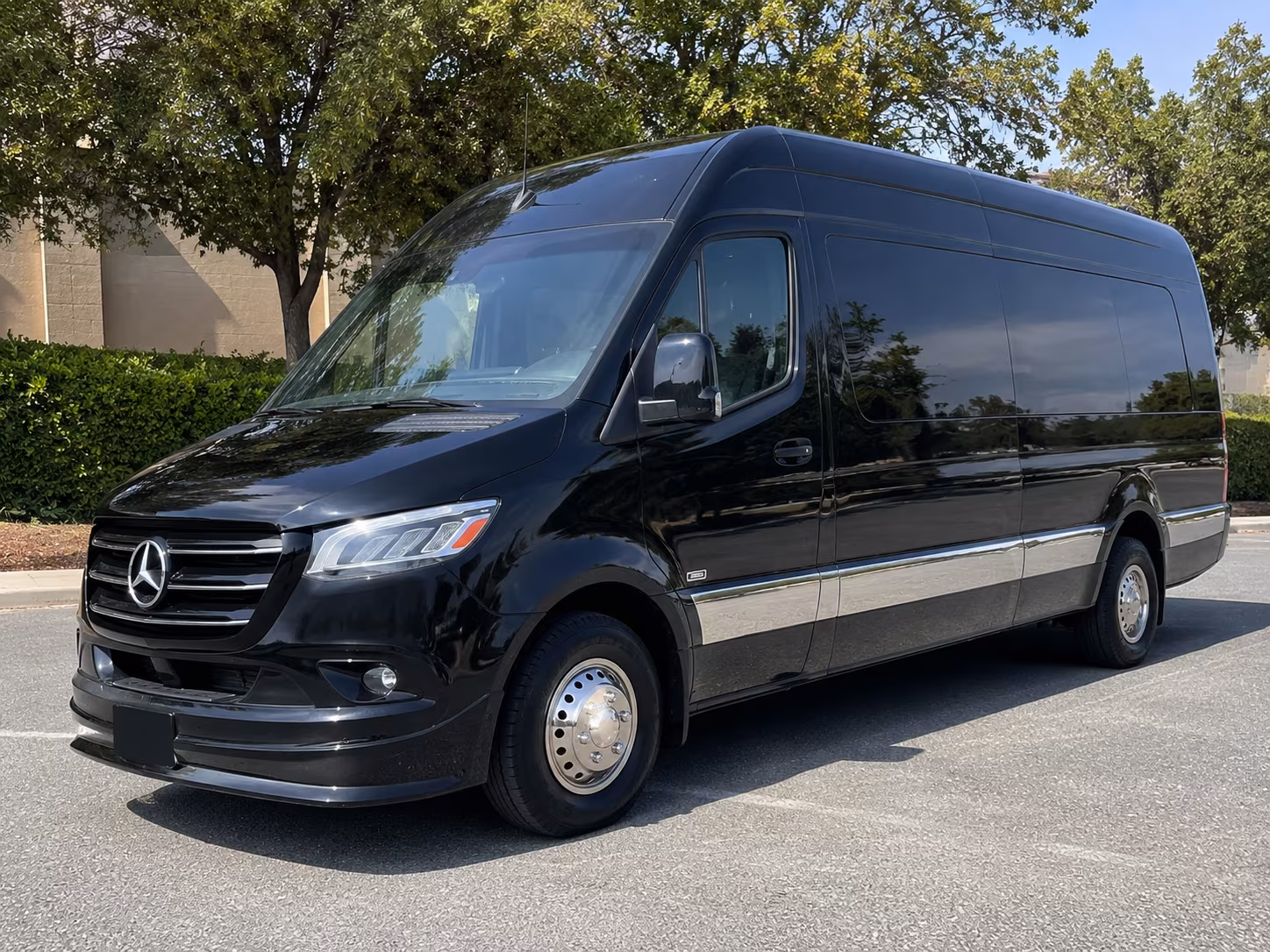 san ramon sprinter van with driver