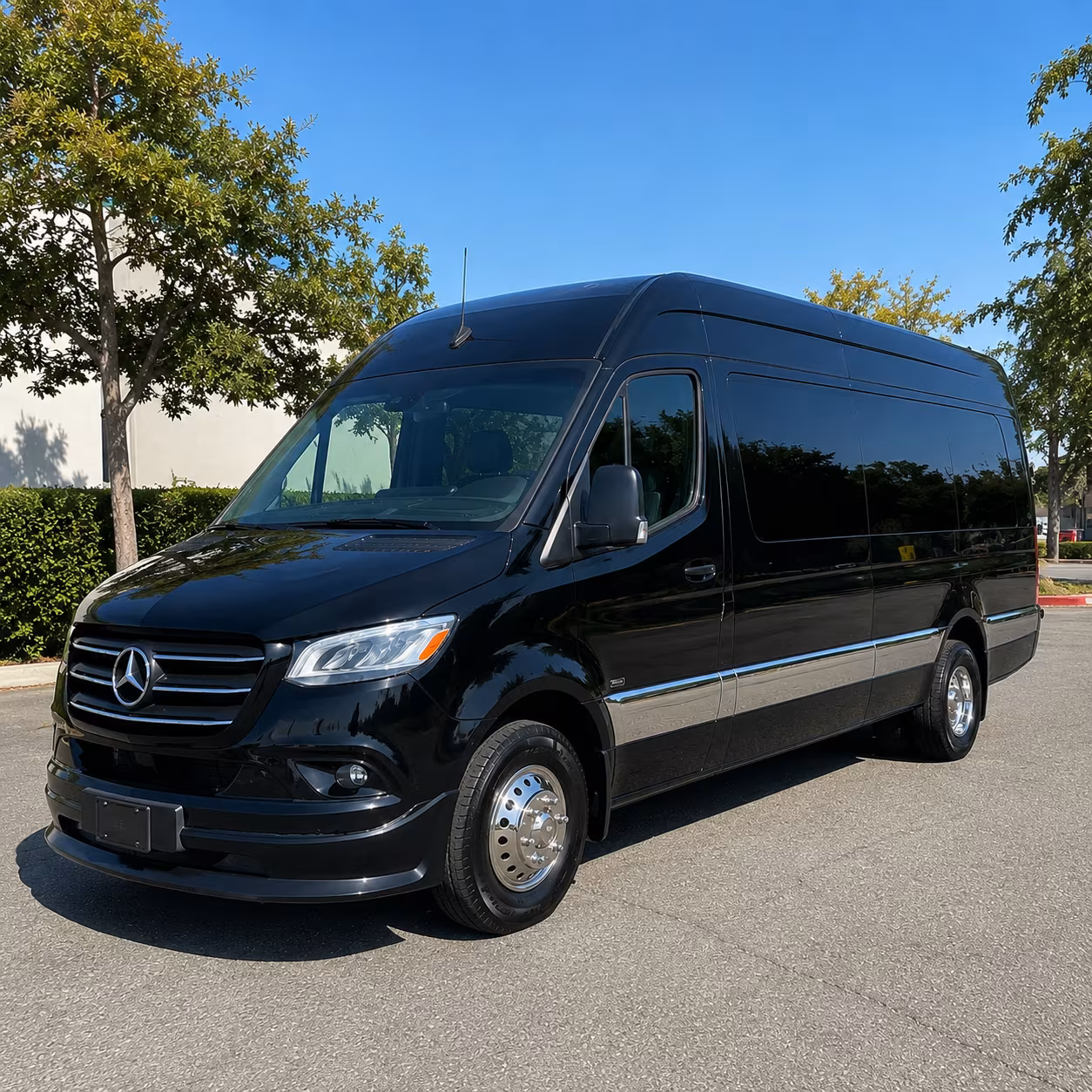 secure transportation for your next birthday 5